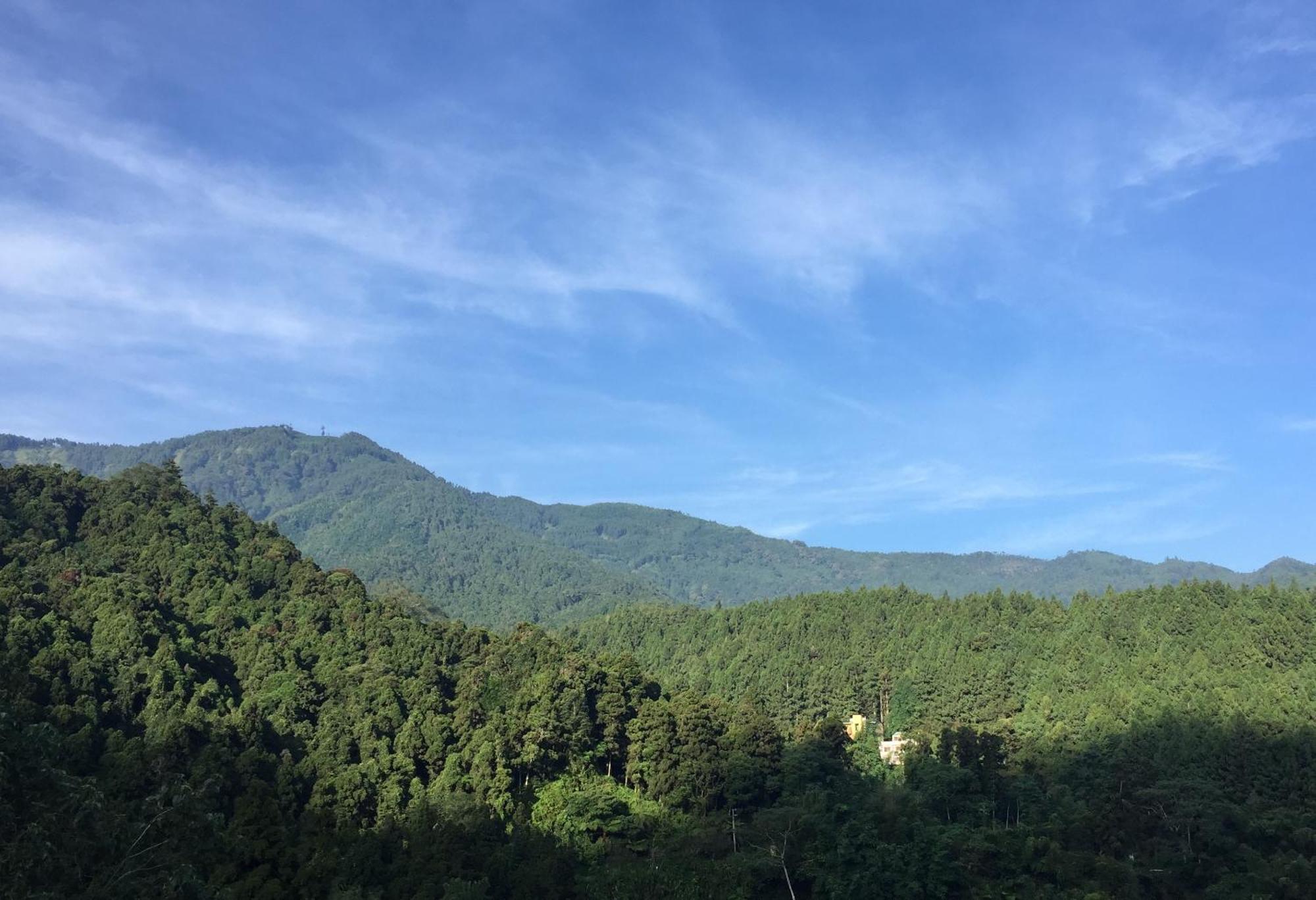 Ginkgo Hotel Lugu Dış mekan fotoğraf