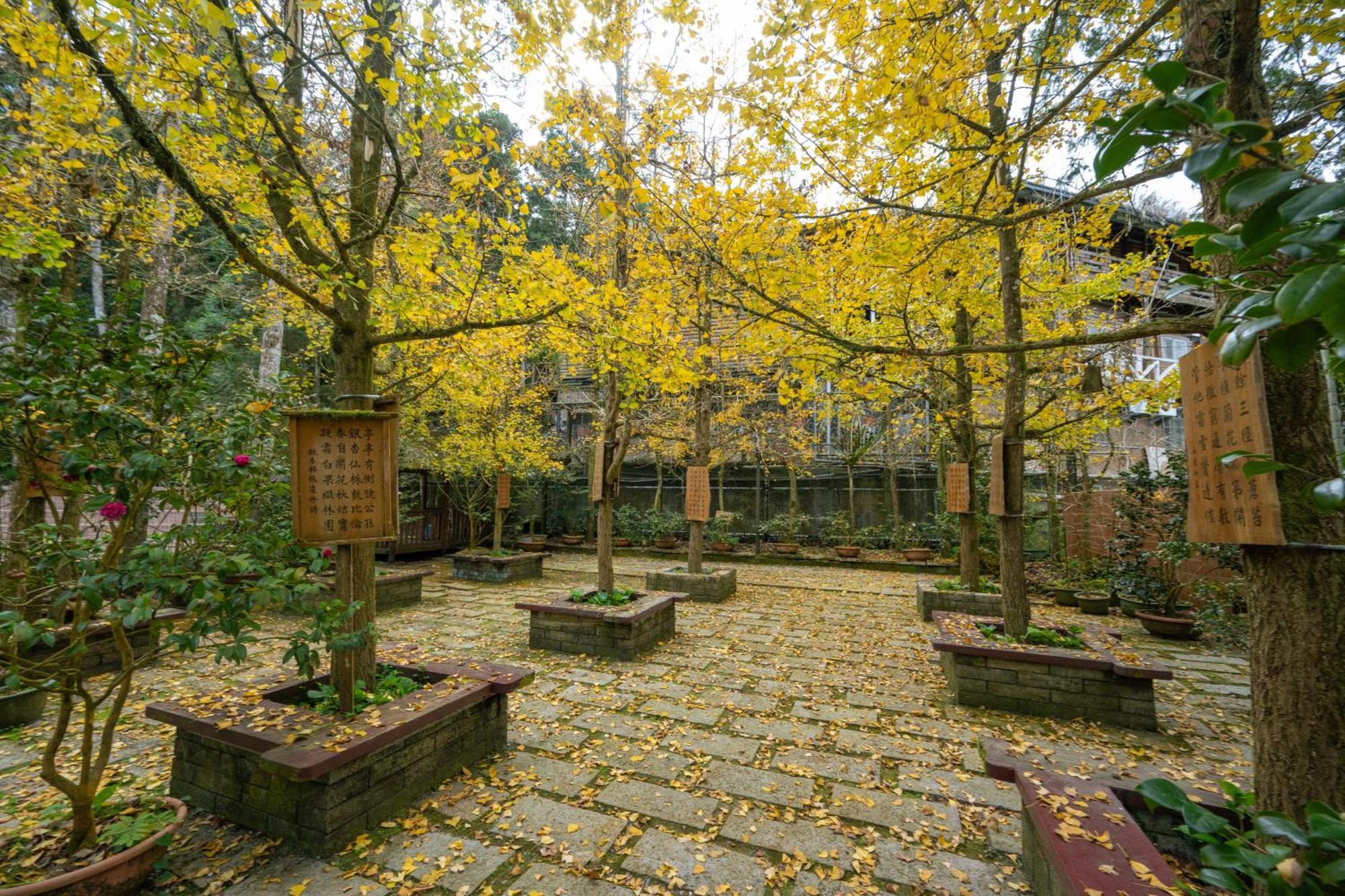 Ginkgo Hotel Lugu Dış mekan fotoğraf