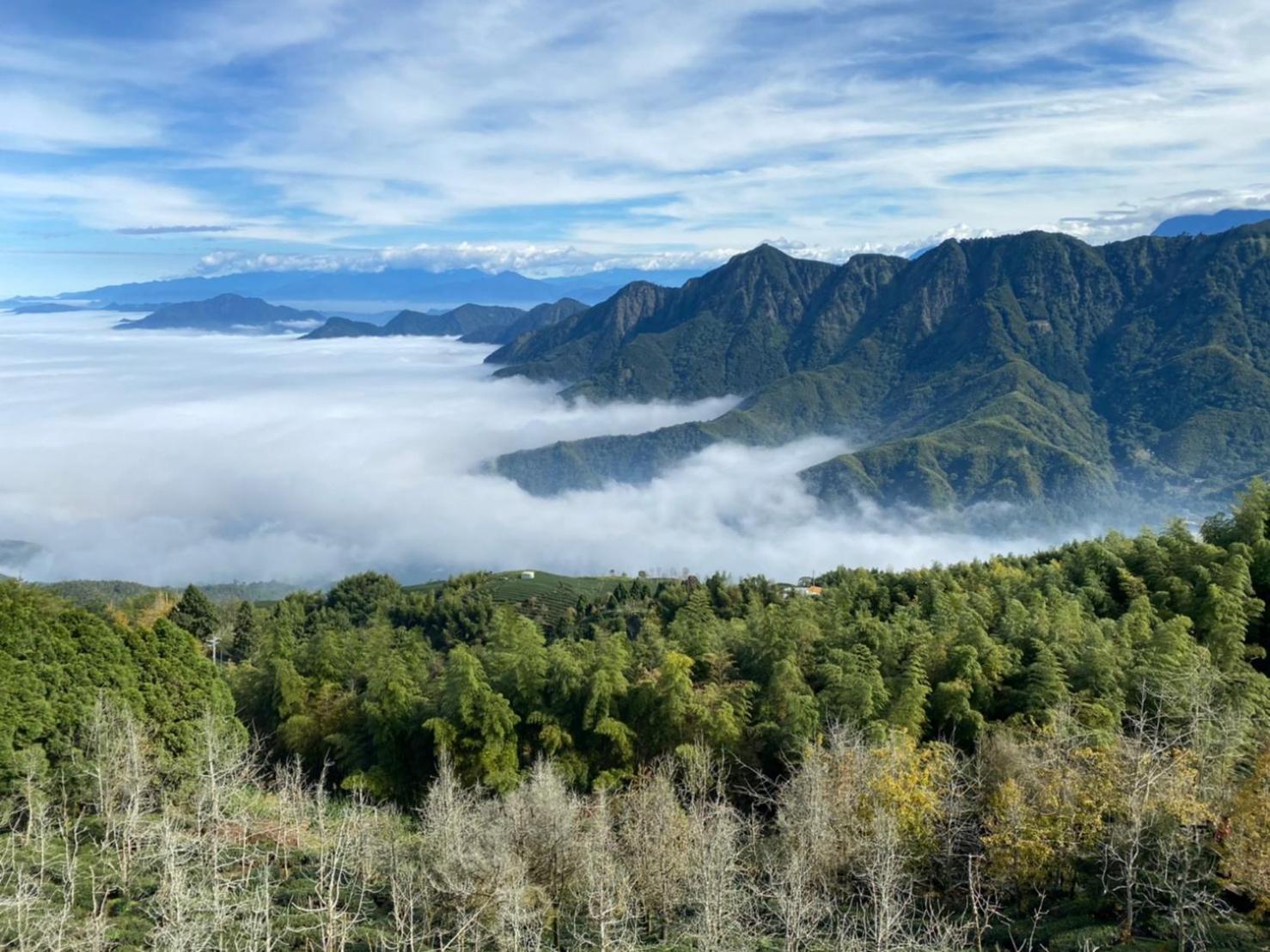 Ginkgo Hotel Lugu Dış mekan fotoğraf