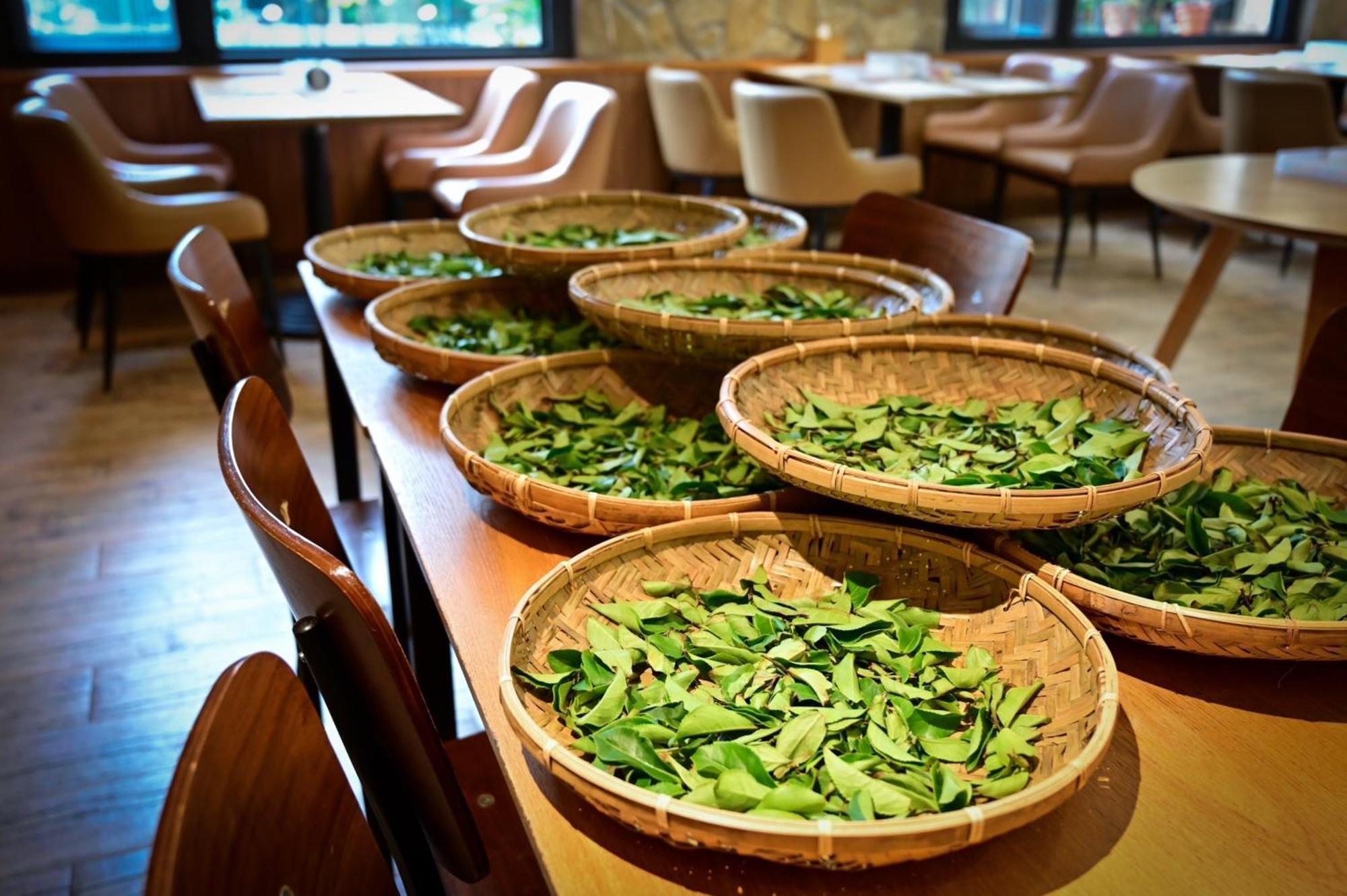 Ginkgo Hotel Lugu Dış mekan fotoğraf